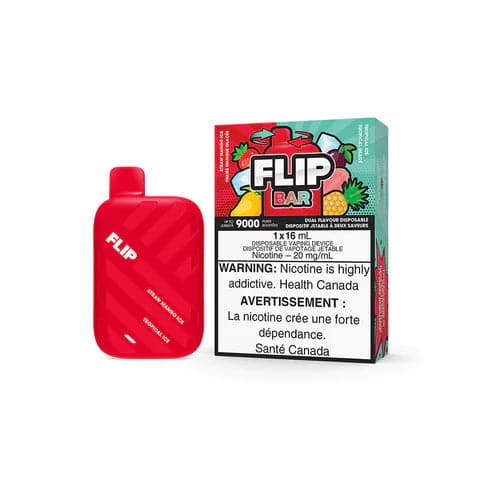FLIP BAR DISPOSABLE 2-IN-1 9000 PUFF RECHARGEABLE.